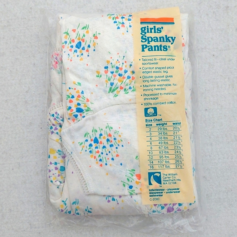 CARTER'S Vintage Girls' Spanky Pants Set of 3 Elastic Leg Briefs NIB - Picture 3 of 12